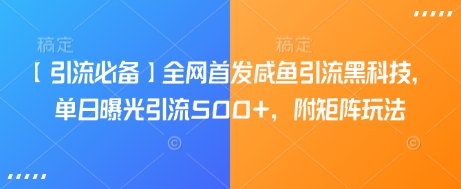 【引流必备】全网首发咸鱼引流黑科技，单日曝光引流500+，附矩阵玩法【揭秘】-轻松搞定副业 - 高效赚钱方法和建议