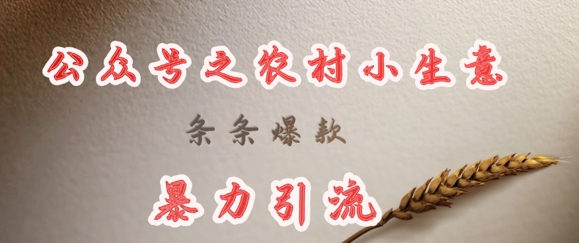 deepseek写农村小项目，条条爆款，暴力引流-轻松搞定副业 - 高效赚钱方法和建议