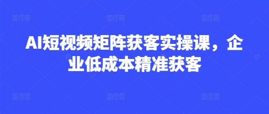 AI短视频矩阵获客实操课，企业低成本精准获客-轻松搞定副业 - 高效赚钱方法和建议