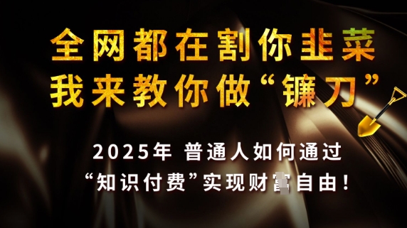 全网都在割你韭菜，我来教你做镰刀，2025普通人如何通过知识付费，实现财F自由【揭秘】-轻松搞定副业 - 高效赚钱方法和建议