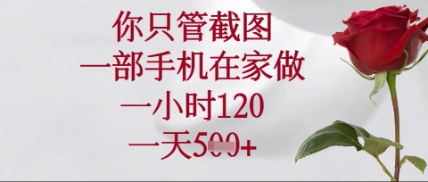 你只管截图，一部手机在家操作，一小时120.一天5张【揭秘】-轻松搞定副业 - 高效赚钱方法和建议
