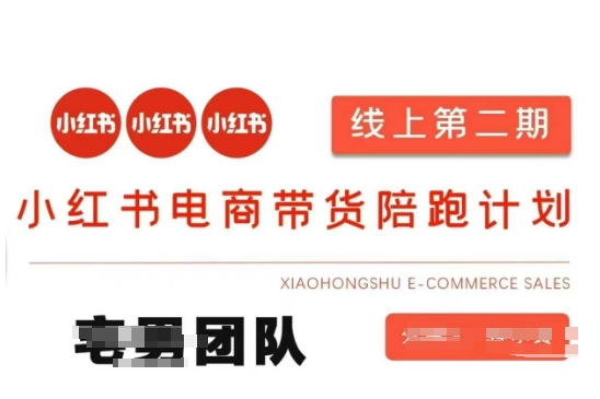 小红书电商带货课2期，月利润20个的小红书电商的有货源，无货源，虚拟产品，付费投流等整套玩法-轻松搞定副业 - 高效赚钱方法和建议