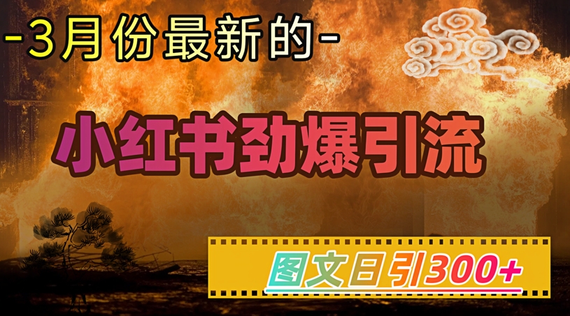 小红书超劲爆引流手段，图文日引300+轻松变现1W-轻松搞定副业 - 高效赚钱方法和建议