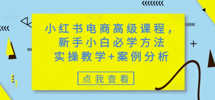 小红书电商高级课程，新手小白必学方法，实操教学+案例分析-轻松搞定副业 - 高效赚钱方法和建议