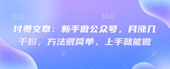 付费文章：新手做公众号，月涨几干粉，方法很简单，上手就能做-轻松搞定副业 - 高效赚钱方法和建议