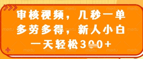 审核视频，几秒一单，多劳多得，新人小白一天轻松3张【揭秘】-轻松搞定副业 - 高效赚钱方法和建议