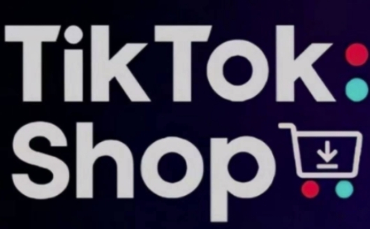 TikTokShop跨境电商0-1实战，手把手教你低成本启动海外市场-轻松搞定副业 - 高效赚钱方法和建议