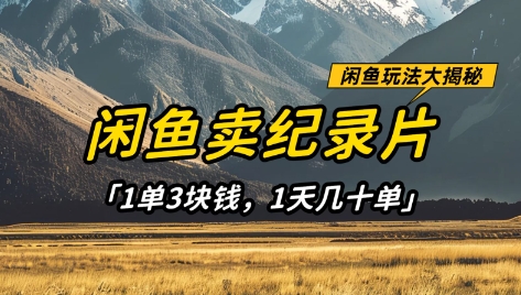 闲鱼卖纪录片1单3块钱，1天几十单，项目稳定有潜力-轻松搞定副业 - 高效赚钱方法和建议