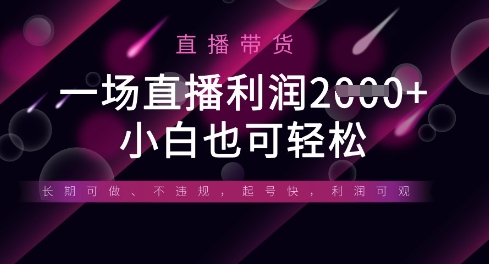 半无人直播带货，一场利润数张，适合所有平台玩法，小白也可轻松-轻松搞定副业 - 高效赚钱方法和建议