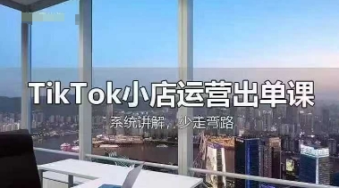TikTok小店运营出单课，从开店选品、运营出单、发货回款，进行全流程讲解-轻松搞定副业 - 高效赚钱方法和建议