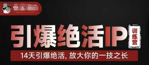 引爆绝活IP训练营，14天引爆绝活，放大你的一技之长-轻松搞定副业 - 高效赚钱方法和建议
