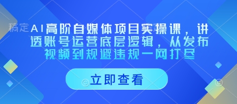 AI高阶自媒体项目实操课，讲透账号运营底层逻辑，从发布视频到规避违规一网打尽-轻松搞定副业 - 高效赚钱方法和建议