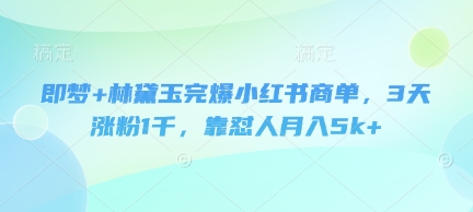 即梦+林黛玉完爆小红书商单，3天涨粉1千，靠怼人月入5k+-轻松搞定副业 - 高效赚钱方法和建议