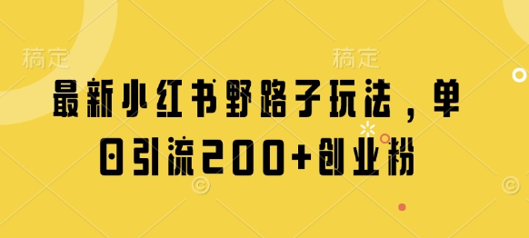 最新小红书野路子玩法，单日引流200+创业粉-轻松搞定副业 - 高效赚钱方法和建议