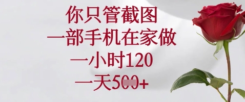 你只管截图，一部手机在家做，苹果安卓都可以，一小时120，一天5张+【揭秘】-轻松搞定副业 - 高效赚钱方法和建议
