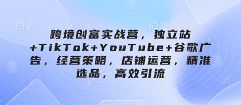 跨境创富实战营，独立站+TikTok+YouTube+谷歌广告，经营策略，店铺运营，精准选品，高效引流-轻松搞定副业 - 高效赚钱方法和建议