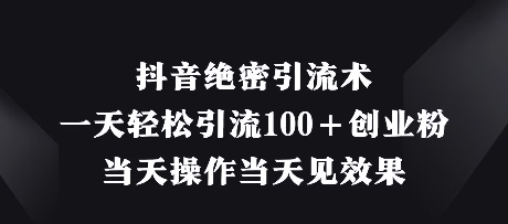 抖音绝密引流术，一天轻松引流100+创业粉，当天操作当天见效果-轻松搞定副业 - 高效赚钱方法和建议