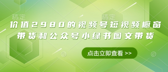 价值2980的视频号短视频橱窗带货和公众号小绿书图文带货-轻松搞定副业 - 高效赚钱方法和建议