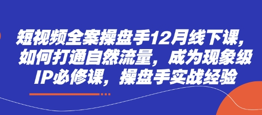 短视频全案操盘手12月线下课，如何打通自然流量，成为现象级IP必修课，操盘手实战经验-轻松搞定副业 - 高效赚钱方法和建议