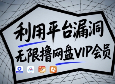 利用平台漏洞，无限撸网盘VIP会员，用户亲测有效!【漏洞原理+操作演示】-轻松搞定副业 - 高效赚钱方法和建议
