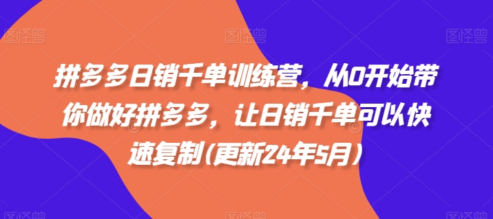 拼多多日销千单训练营，从0开始带你做好拼多多，让日销千单可以快速复制(更新25年4月)-轻松搞定副业 - 高效赚钱方法和建议
