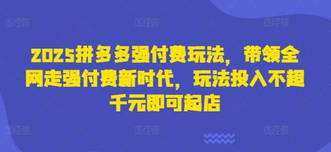2025拼多多强付费玩法，带领全网走强付费新时代，玩法投入不超千元即可起店-轻松搞定副业 - 高效赚钱方法和建议