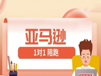 亚马逊1对1陪跑课(FBA/FBM精铺)跨境亚马逊教程-轻松搞定副业 - 高效赚钱方法和建议