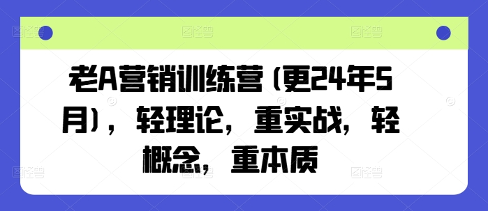老A营销训练营(更25年4月)，轻理论，重实战，轻概念，重本质-轻松搞定副业 - 高效赚钱方法和建议