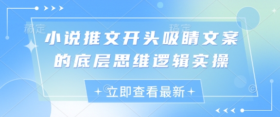 小说推文开头吸睛文案的底层思维逻辑实操-轻松搞定副业 - 高效赚钱方法和建议