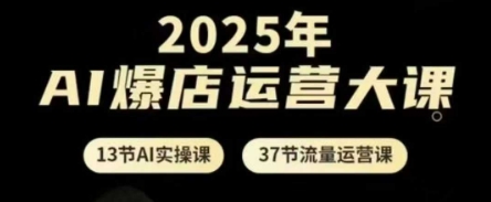 2025年AI爆店运营大课，13节AI实操课+37节流量运营课-轻松搞定副业 - 高效赚钱方法和建议