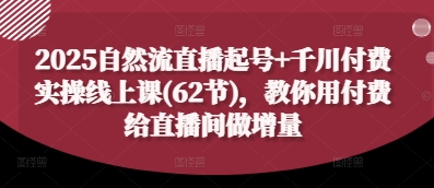 2025自然流直播起号+千川付费实操线上课(62节)，教你用付费给直播间做增量-轻松搞定副业 - 高效赚钱方法和建议