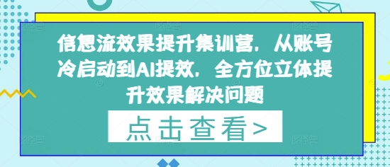 信息流效果提升集训营，从账号冷启动到AI提效，全方位立体提升效果解决问题-轻松搞定副业 - 高效赚钱方法和建议