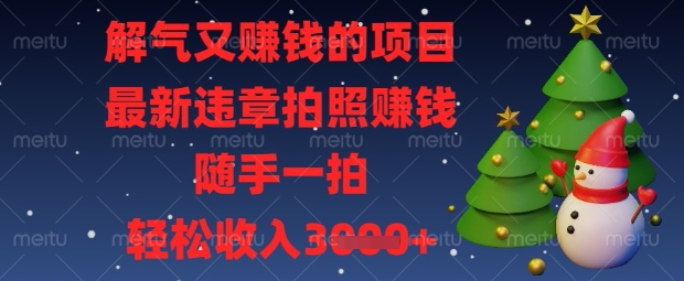 解气又挣钱的项目，最新违章拍照挣钱，随手一拍，轻松收入数张【揭秘】-轻松搞定副业 - 高效赚钱方法和建议