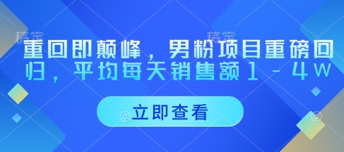 重回即颠峰，男粉项目重磅回归，平均每天销售额1-4W-轻松搞定副业 - 高效赚钱方法和建议