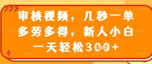视频审核员，几秒一单，不限时间，不限地点，多做多得，新人小白一天轻松几张+【揭秘】-轻松搞定副业 - 高效赚钱方法和建议