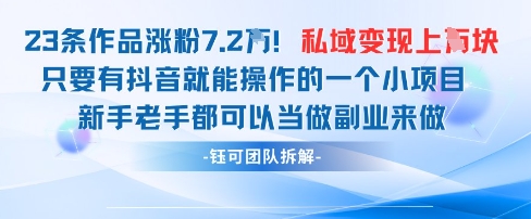 抖音私域项目23条作品涨粉7.2W，私域变现1W-轻松搞定副业 - 高效赚钱方法和建议