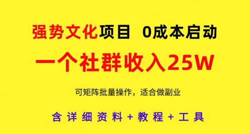 强势文化项目，一个社群收入25个W，0成本启动，可矩阵批量操作，原创详细实操教程-轻松搞定副业 - 高效赚钱方法和建议