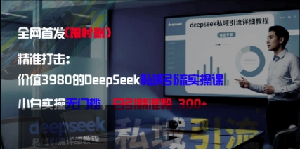 精准打击：价值3980的DeepSeek私域引流实操课，小白实操无门槛，日引精准粉300+-轻松搞定副业 - 高效赚钱方法和建议