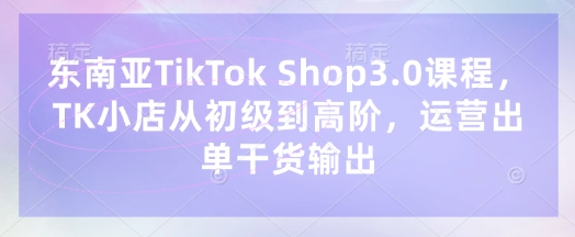 东南亚TikTok Shop3.0课程，TK小店​从初级到高阶，运营出单干货输出-轻松搞定副业 - 高效赚钱方法和建议